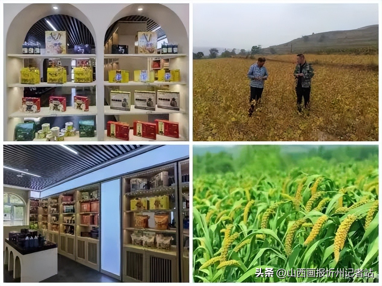 偏关县水泉乡乡村振兴,乡村振兴带动旅游发展实施方案