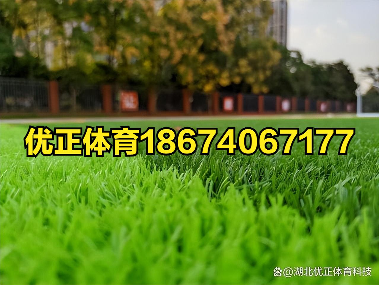 足球场人造草坪施工全过程,拉萨人工塑料草坪施工