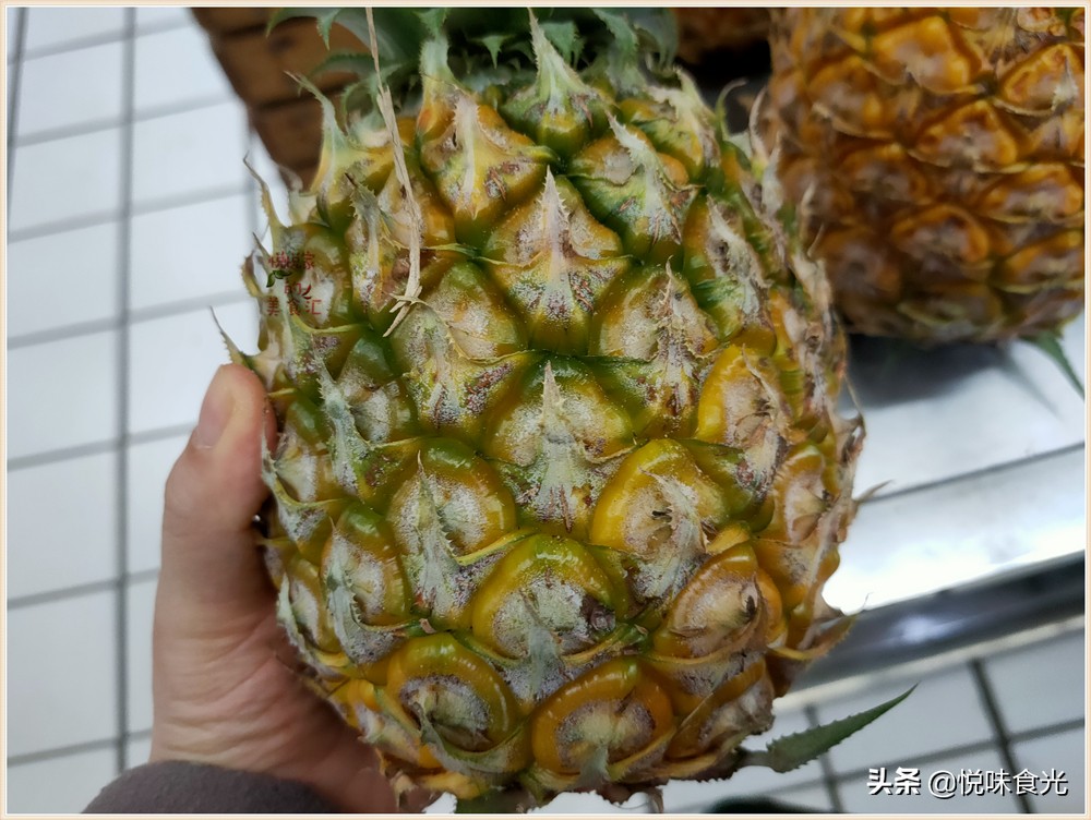 买菠萝绿的好还是黄的好,买菠萝青皮还是黄皮