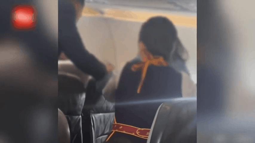 两乘客坐飞机高空中斗殴,飞机场互殴事件