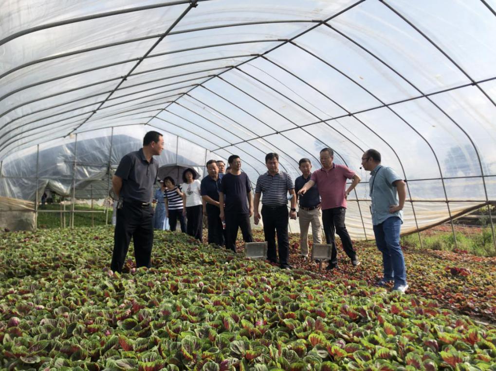 以微生物技术推进化肥减量,农业农药化肥减量化工作开展情况