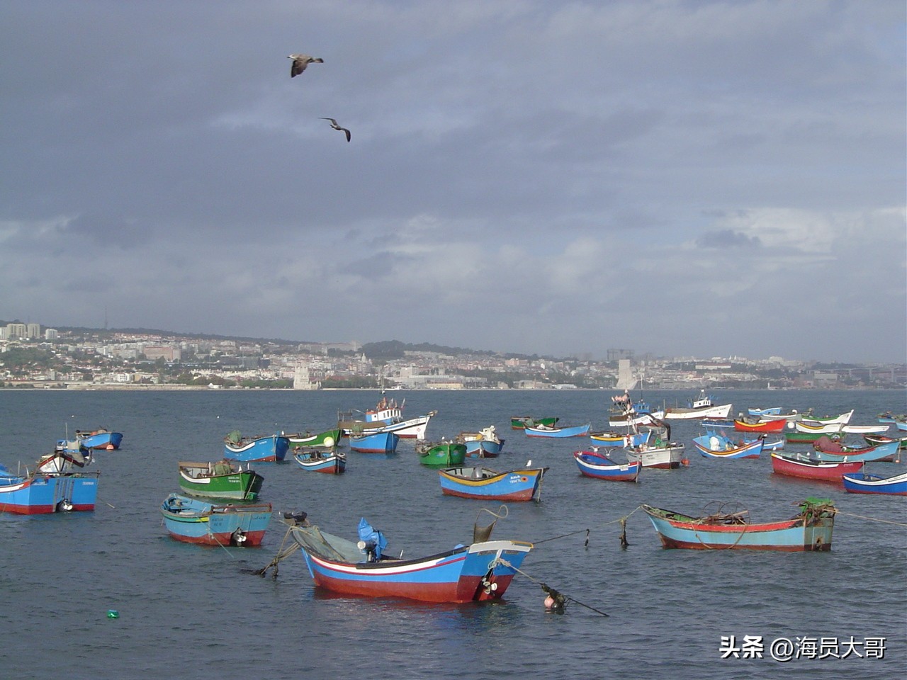 我,航海12年,赚101万,回家做餐饮年赚300万,最后求船公司上船