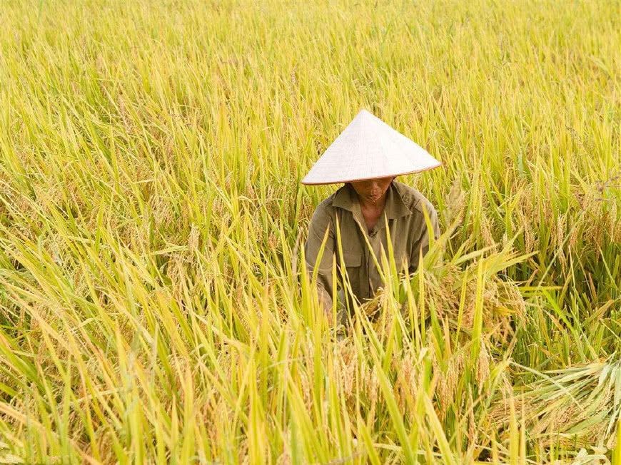 2010年河北行唐，儿子患病身长“巨型黑痣”，母亲为救子割皮移植