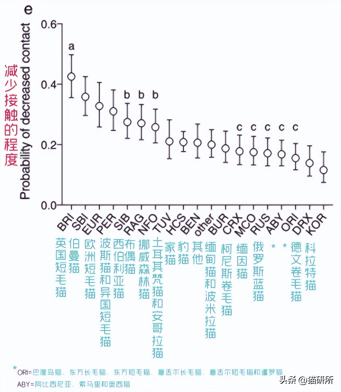 救命！猫咪太黏我了怎么办？