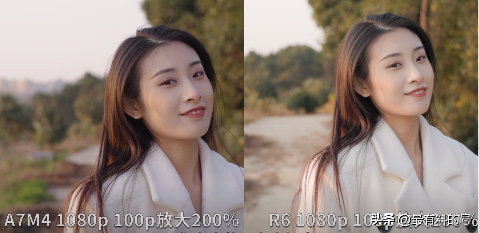 全画幅微单性价比之王新手,画质最好的入门相机