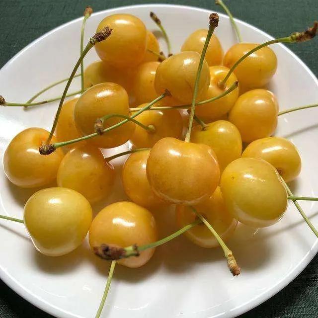 老街机游戏闯关攻略,盘点那些老街机游戏