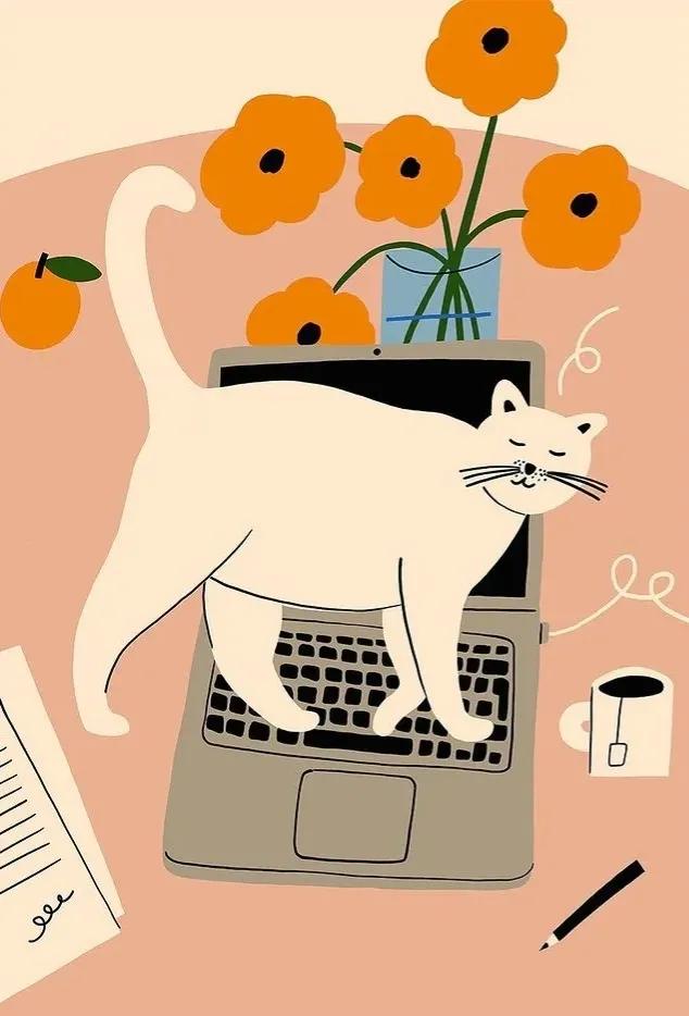 往事归零爱恨随意抖音,往事归零爱恨随意小说