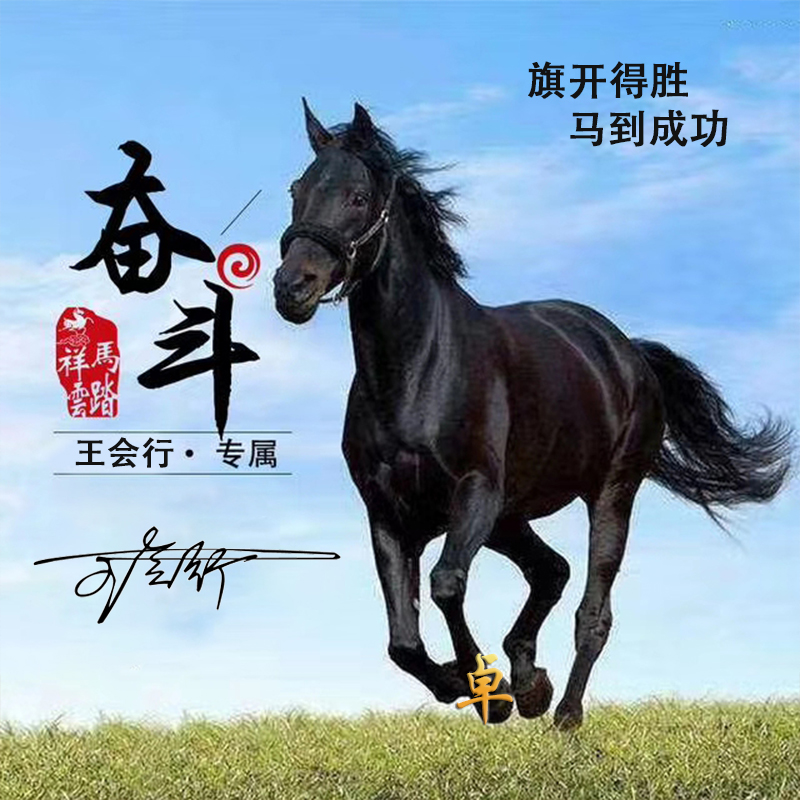 2022最有创意的微信成熟头像,2022年最好看的个性微信头像