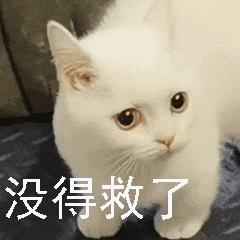 双十一已经过完了吗,双十一终于熬过来了