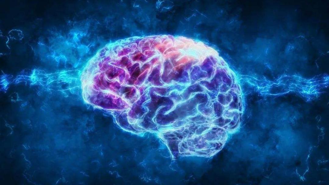 人类大脑为什么越来越厉害,你知道人类大脑的容量有多大