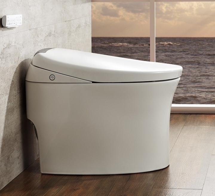 什么样的智能马桶能用得住,马桶有必要选择智能马桶吗