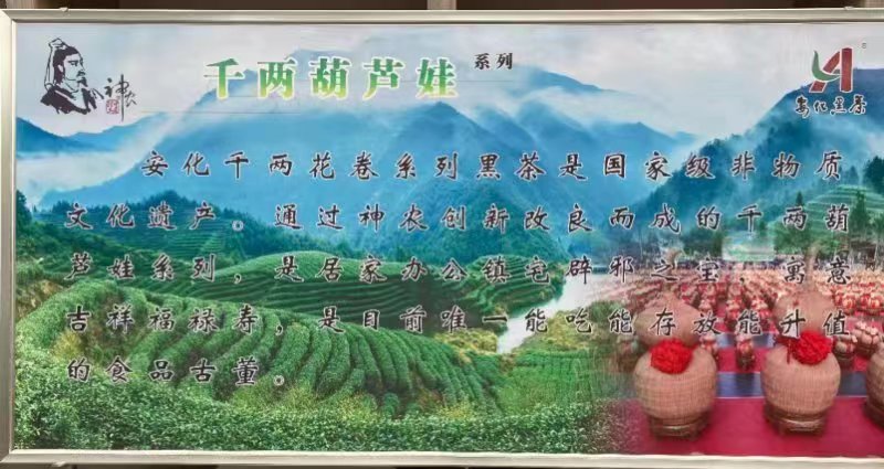 神农茶现泡茶,神农坛神农茶