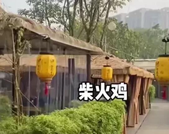 三德子赵亮柴火鸡团购,三德子卖鸡