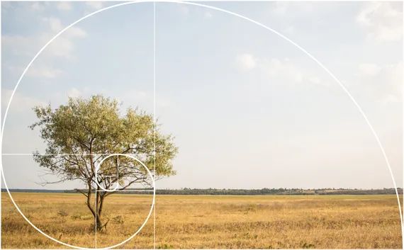 上帝的数字代码,上帝的数字7