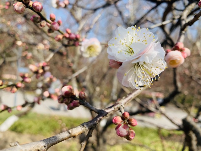 淡泊名利?等你有名有利时再说吧