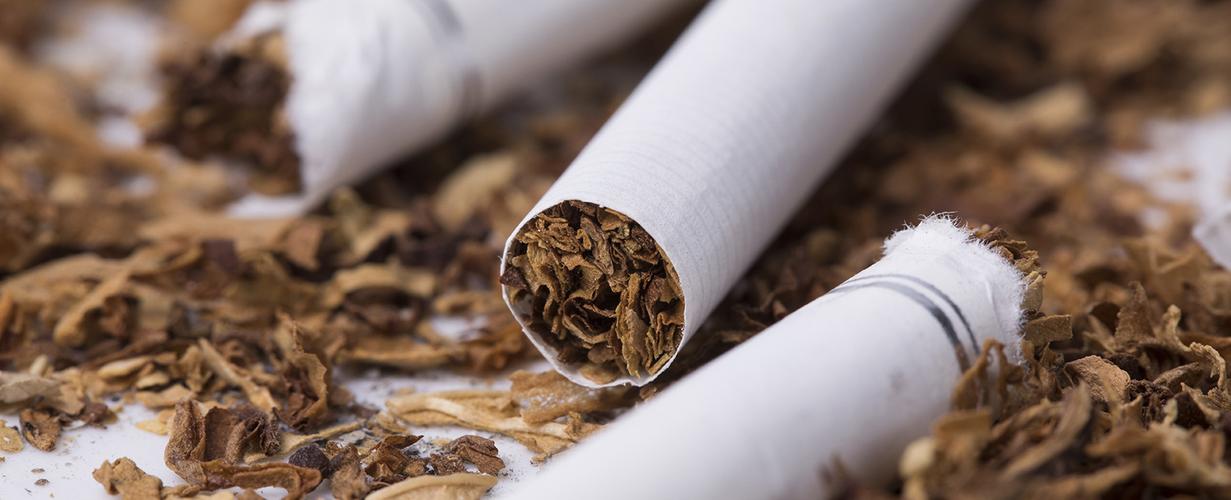 不同提取方式对坚果油品质的影响,不同提取物抗氧化活性图表怎么做