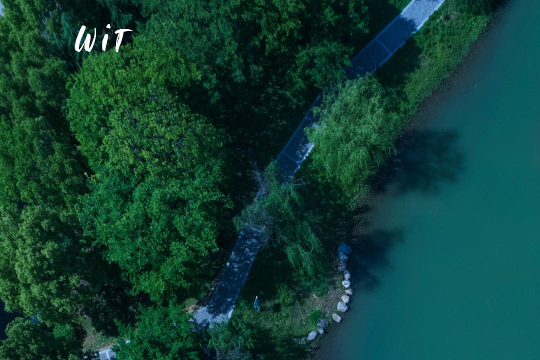 全国十大最美湖景高校,湖北最美湖景学校