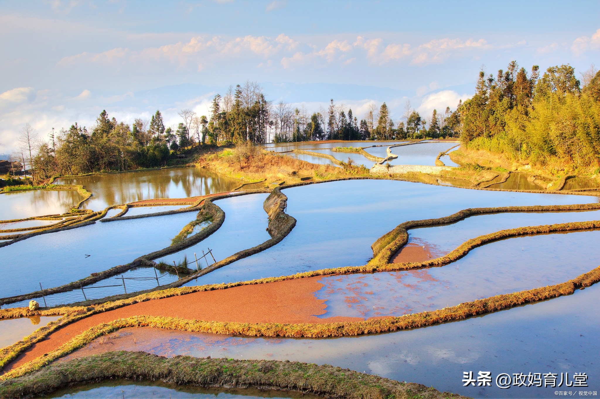 广州出发四天三晚旅游推荐亲子游,上海亲子游旅游2-3天详细攻略