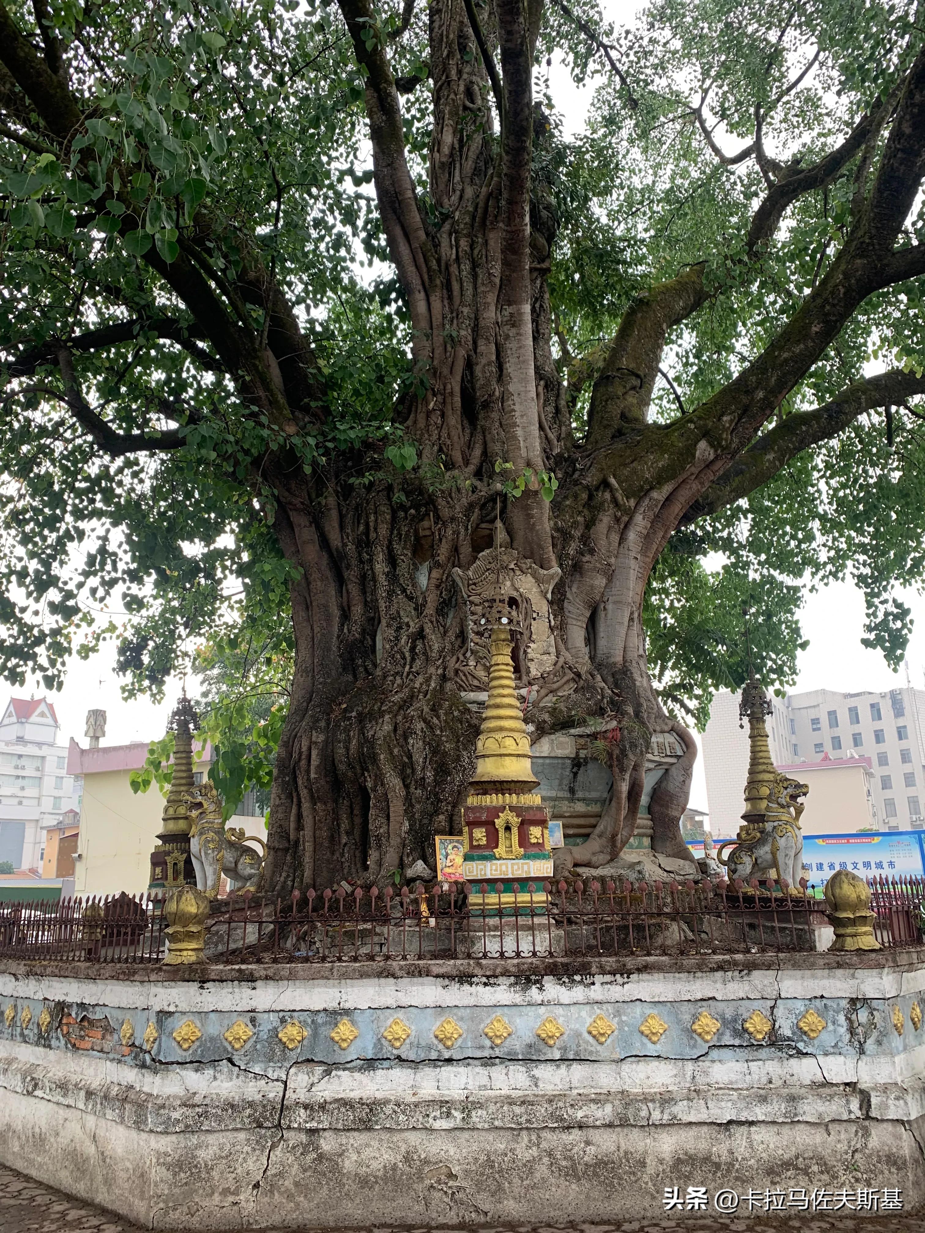 为什么要去云南腾冲芒市瑞丽旅游,芒市瑞丽腾冲旅游五一