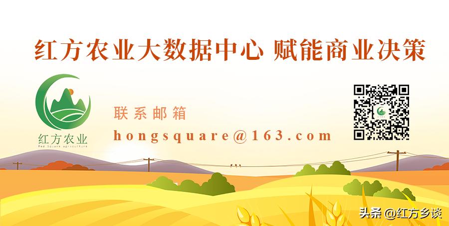 赣南茶油你以为只能用来炒菜吗?