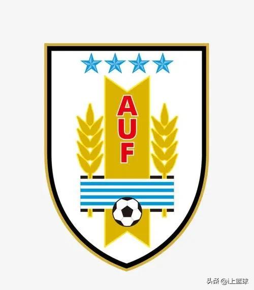 卡塔尔世界杯各队别称,卡塔尔世界杯上的奇葩名字