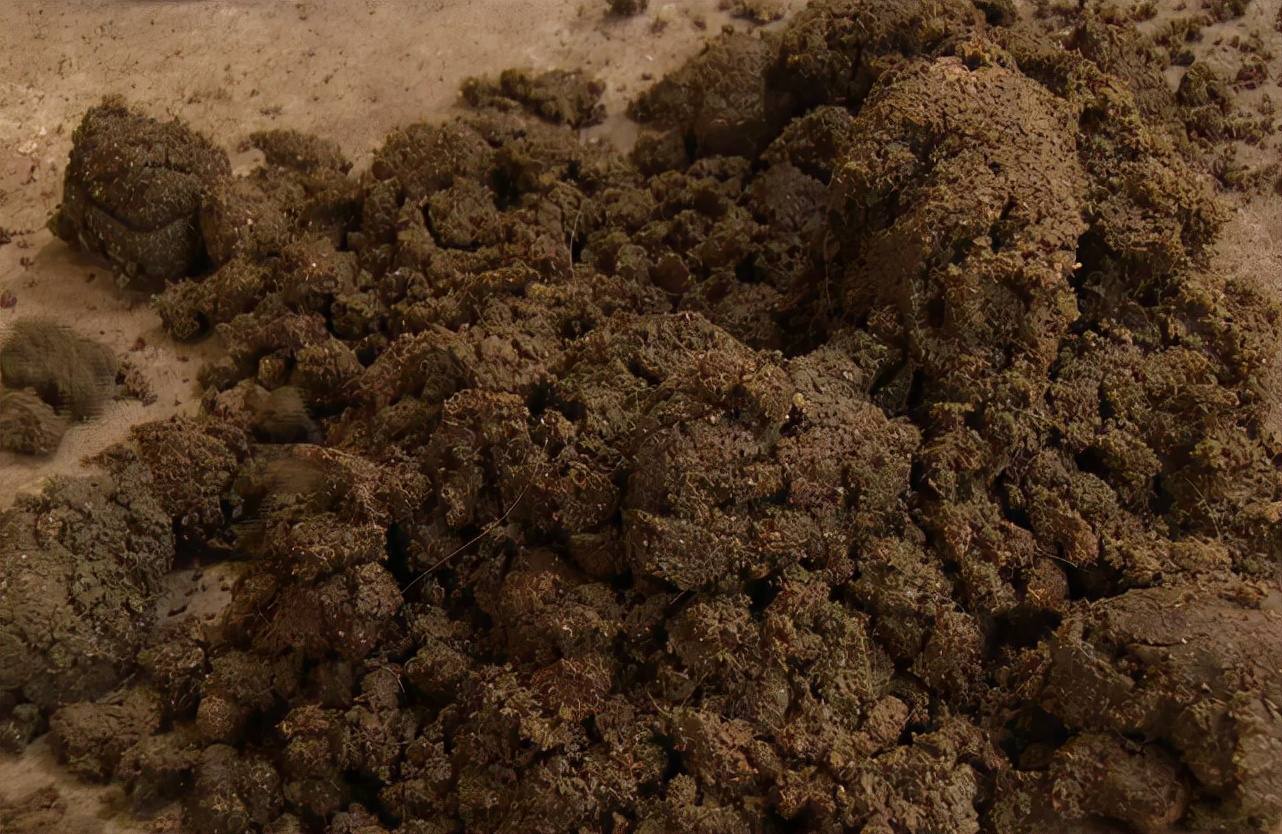 暴利工业废料变废为宝,九零后小伙收废品变废为宝