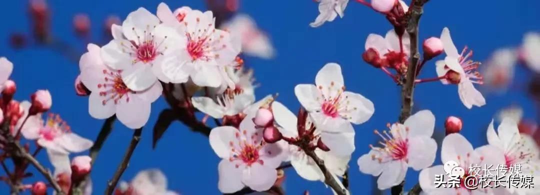 德业并进行稳致远——中层干部培训学习体会