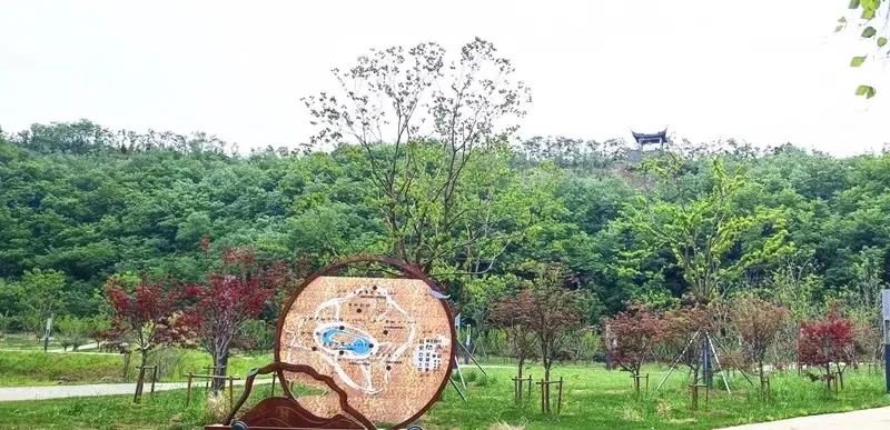 国际足联fifa场地认证资格,国际fifa场地认证