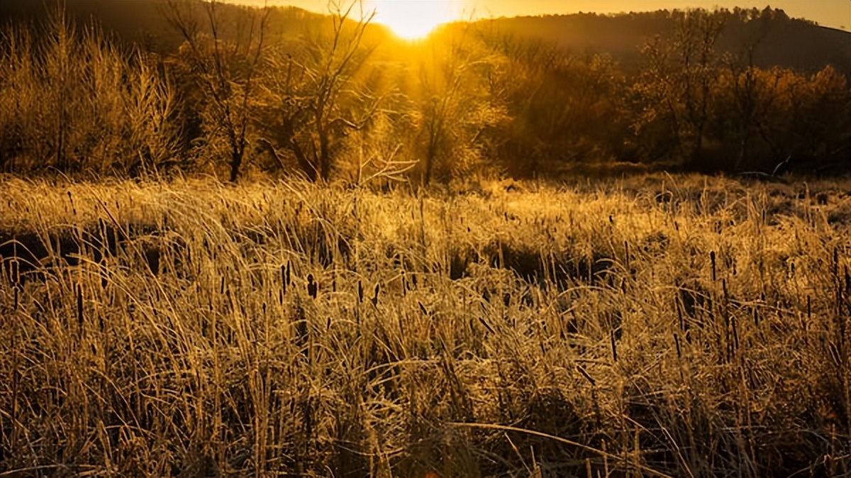 好文分享静下心来聆听最美纯音乐,推荐适合美文的音乐