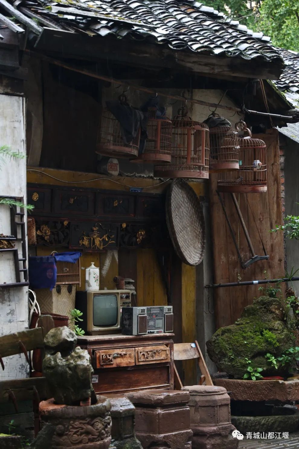 超安逸！水灵妹带你打卡都江堰6条烟火气十足的老街，告别喧嚣和浮躁，邂逅静美冬日~