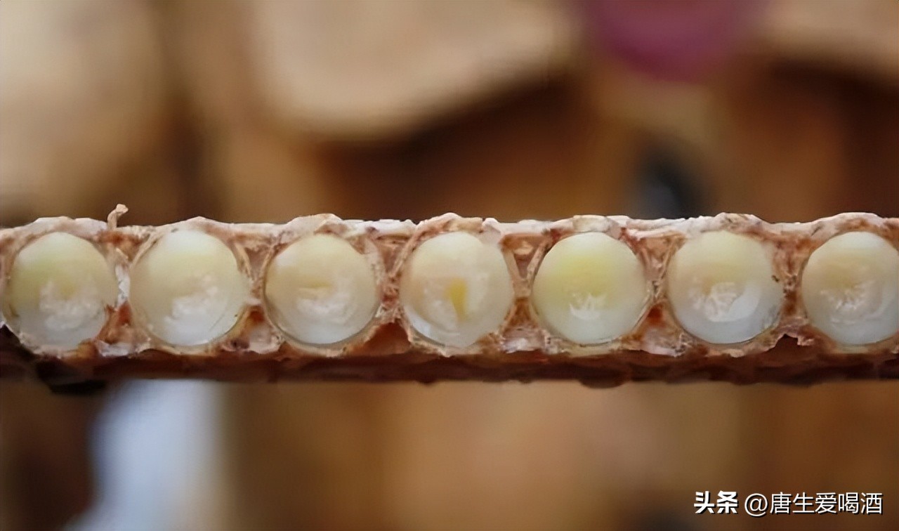 蜂王浆与王浆有什么不同,蜂王浆是什么东西产生的