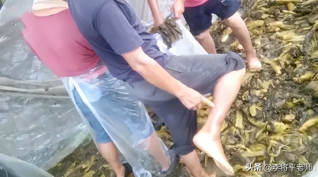 男足踩土坑酸菜，女足踩国酒茅台，都是用脚踩为何待遇不同？