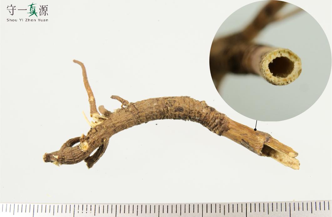 中药真伪鉴定案例,中药鉴定真假找谁