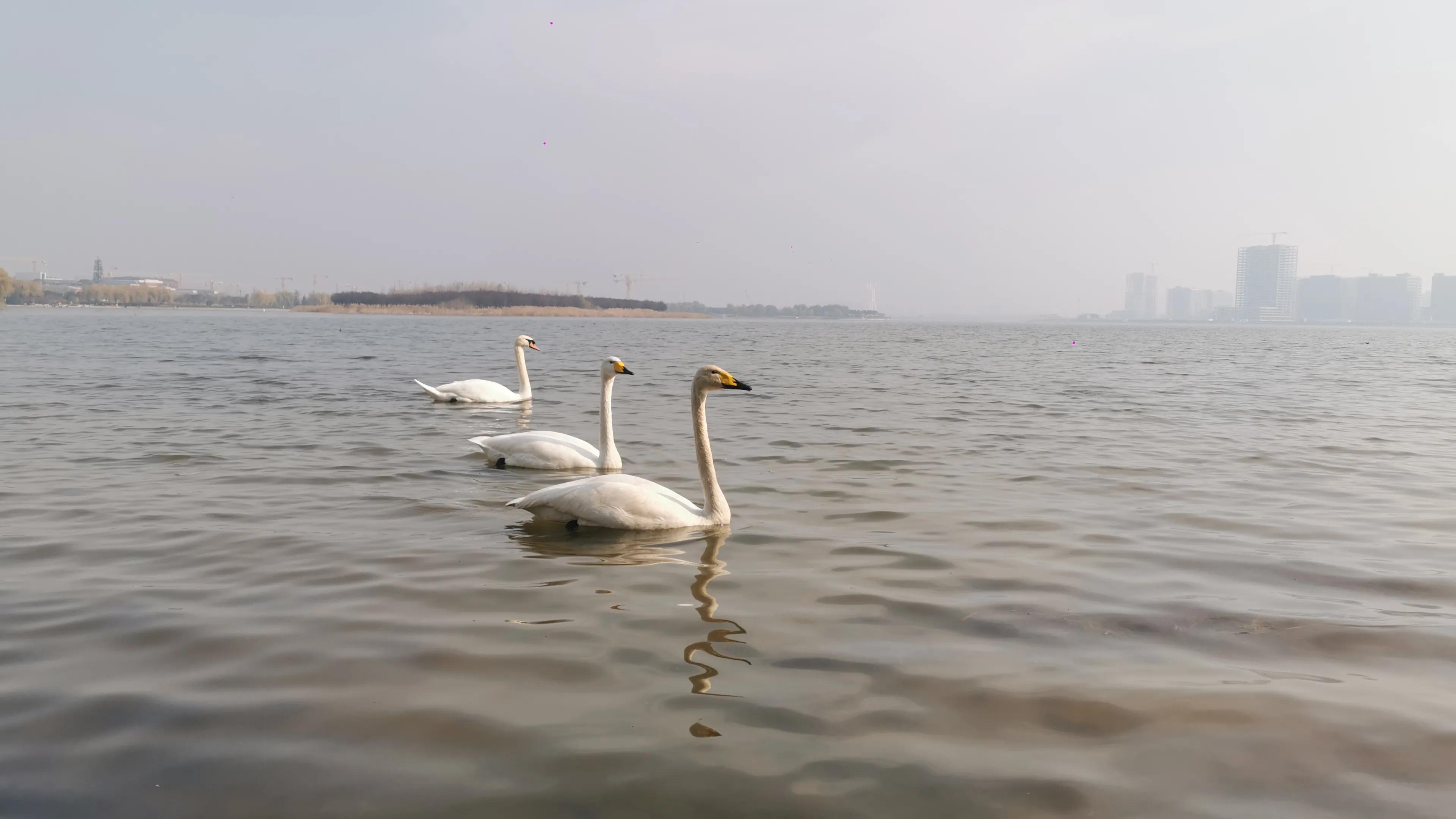 郑州夏季周末带孩子去哪里玩好,郑州周末带孩子去哪里玩比较好