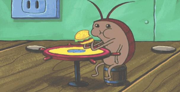 哪种动物吃蟑螂最好,蟑螂最怕的克星是什么动物