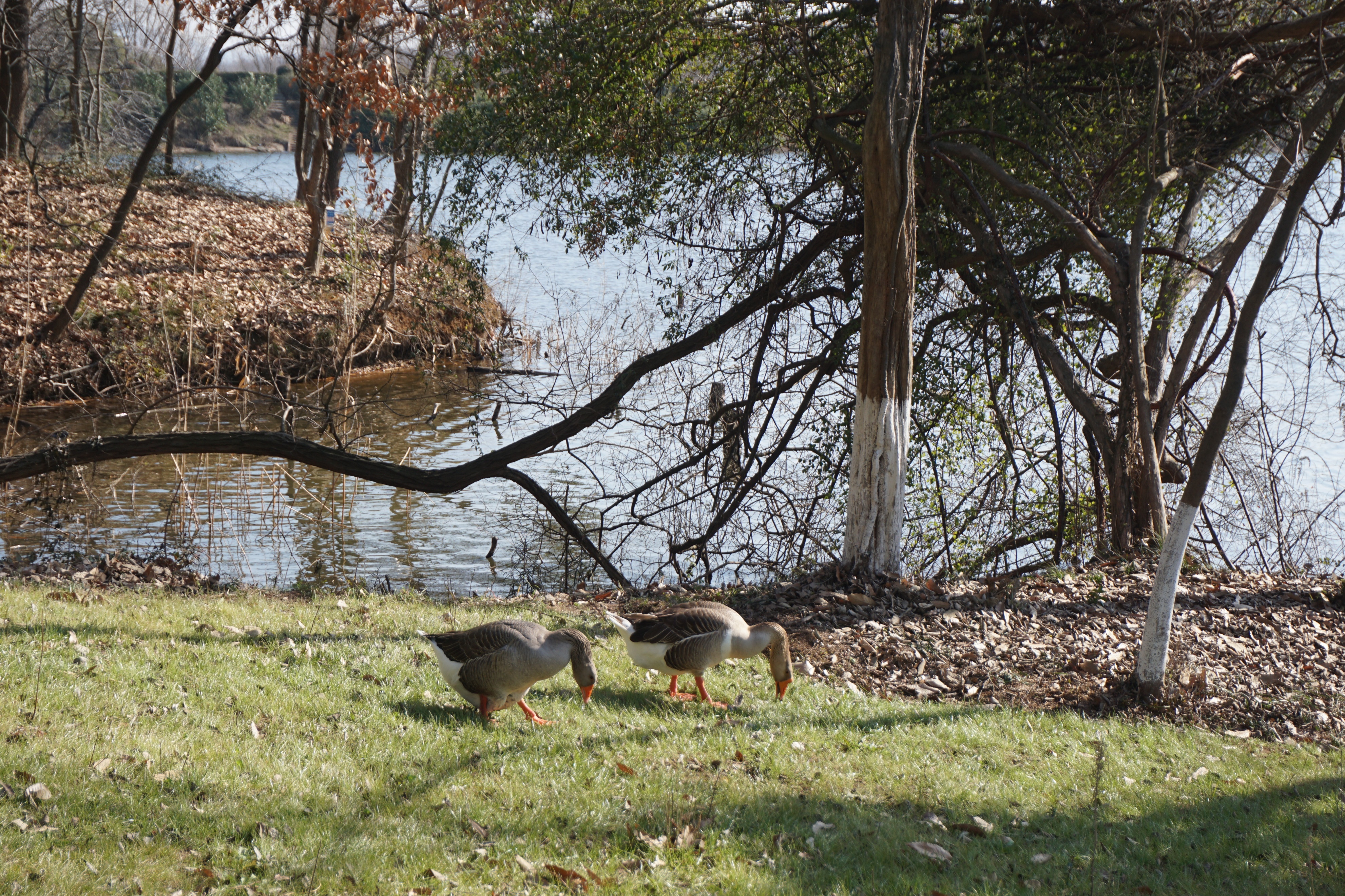 南京人看杭州,南京紫金山庄在哪里