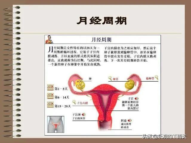 女儿第一次来月经作为妈妈的心情,女儿第一次来月经家长怎么说