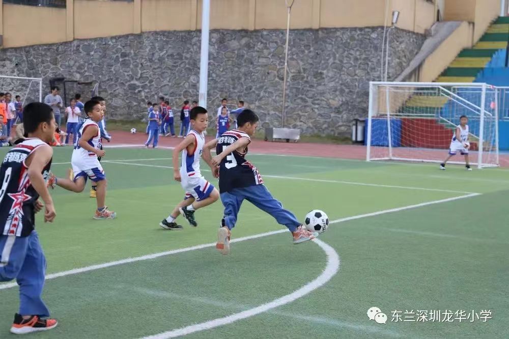 以球育人课题,以球育人上一句