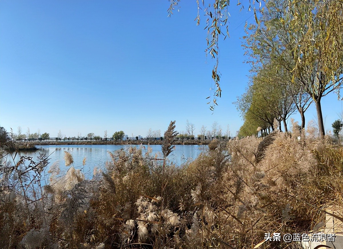 山东省人口最大的县是哪个县,山东一个88万人口大县