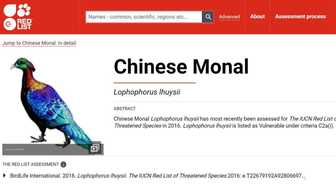 西昌市市鸟,西昌市鸟是哪种