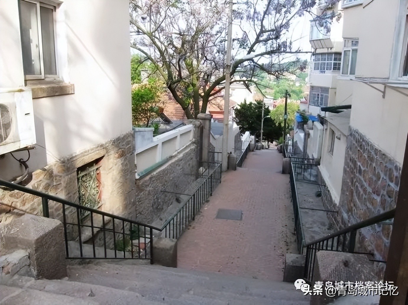 我的齐东路（上篇）