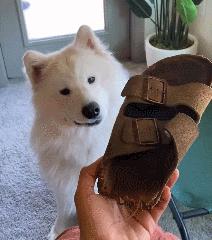 女厕的诡异事件,诡异女厕