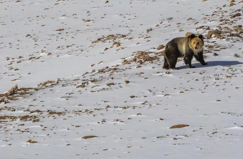 穿越无人区准备物资,自驾穿越无人区需要准备哪些东西