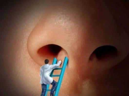 男性头发胡子鼻毛变白是什么原因,37岁鼻毛变白是衰老了吗