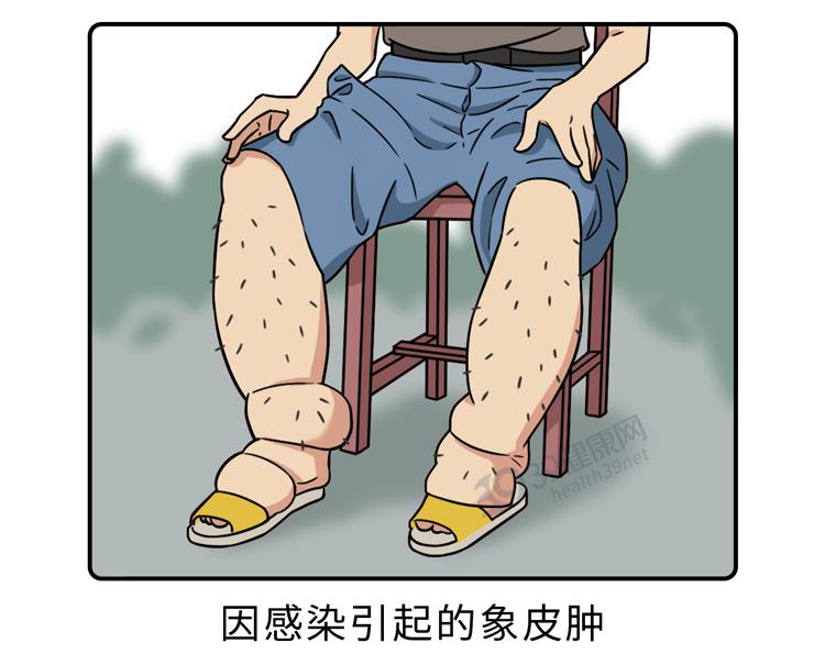 福寿螺和田螺的测试,如何区分福寿螺和田螺的区别