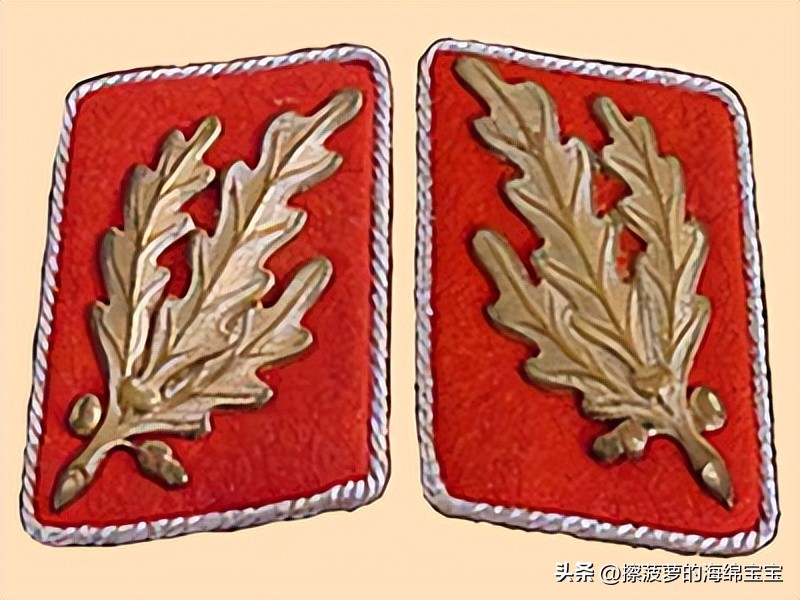 纳粹冲锋队用的什么枪,纳粹德军军衔图解