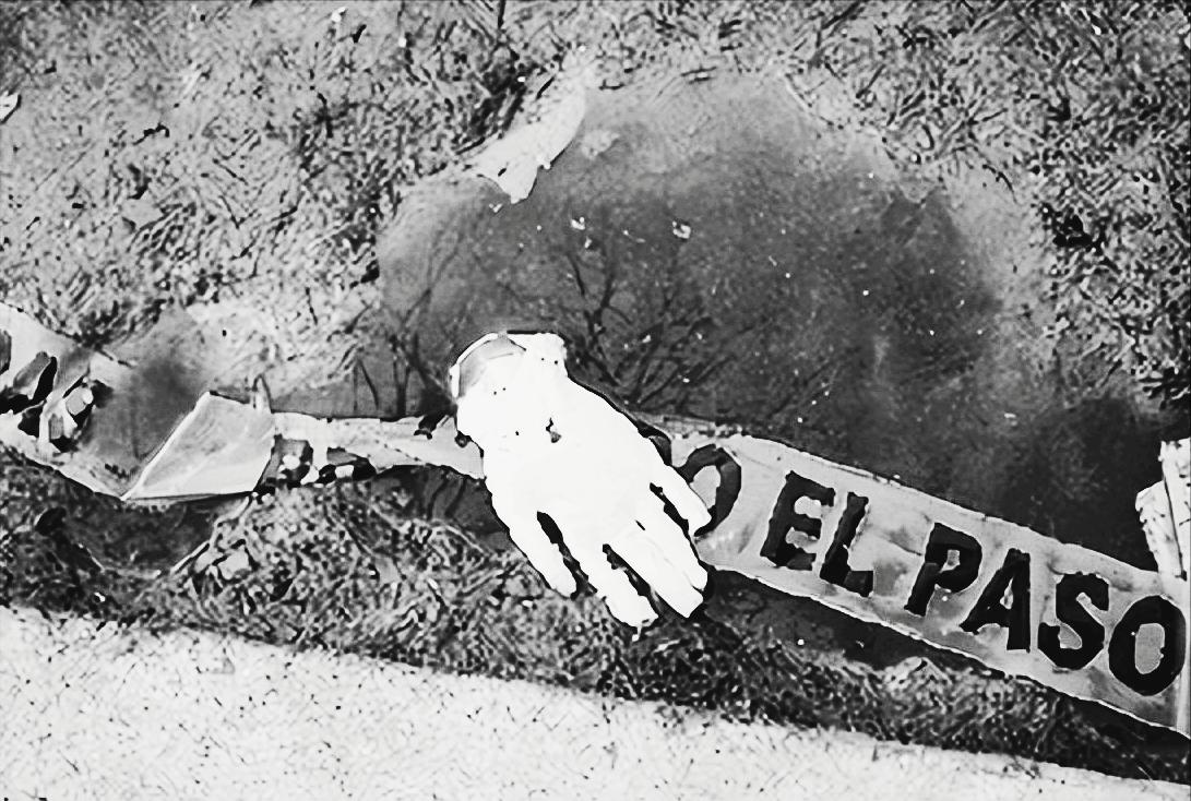 1998年美国温顺杂交犬咬死女主人,1998年温顺杂交犬将主人折磨致死