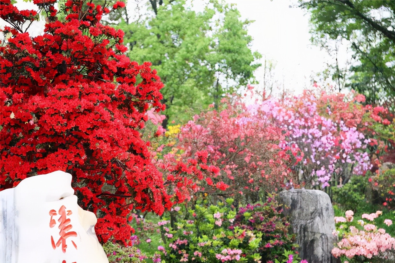 园林景观设计的五大环节,干货园林植物景观设计之空间设计