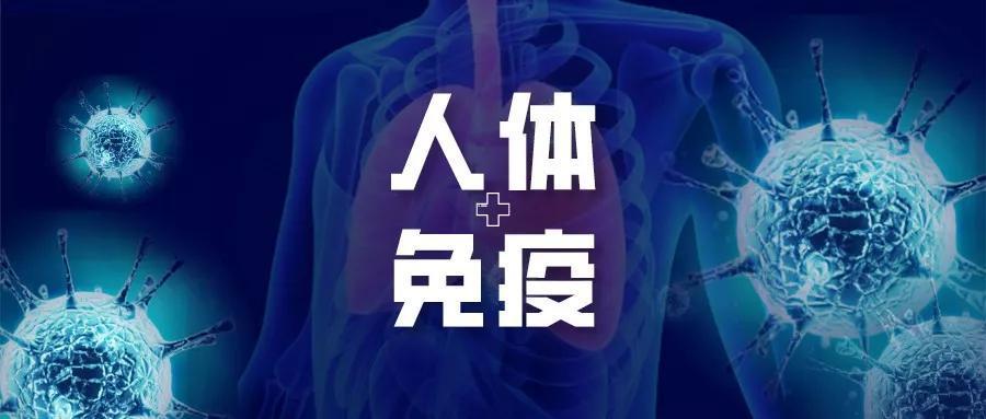 春节吃海参有什么讲究,送礼送干海参还是即食海参好