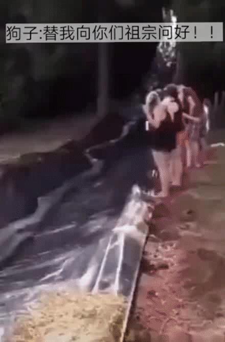 每日一笑游泳教学视频,每日一笑钓鱼片段